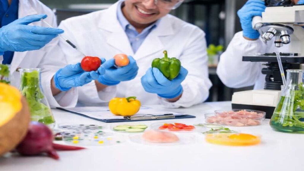 Checklist técnico desarrollo productos alimentos - FIQA